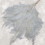 Feriga stabilizata, Gigant ivory 60cm