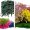 intro artflora plante deco