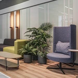 intro plante artificiale office