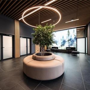 intro plante naturale office