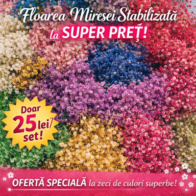 promo floarea miresei