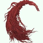 Amaranthus stabilizat Rosu Intunecat 100cm