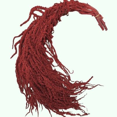 Amaranthus stabilizat Rosu Intunecat 100cm