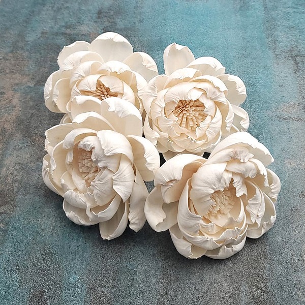 Capete Bujor 10cm alb natur set x4 Capete Bujor 10cm alb natur set x4