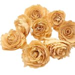 Capete Trandafiri Ming 6cm Piersica set x10