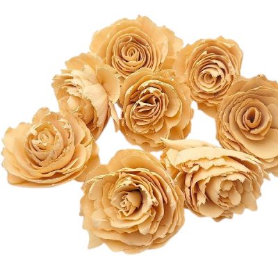 Capete Trandafiri Ming 6cm Piersica set x10
