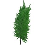 Feriga stabilizata, River L verde set 60cm