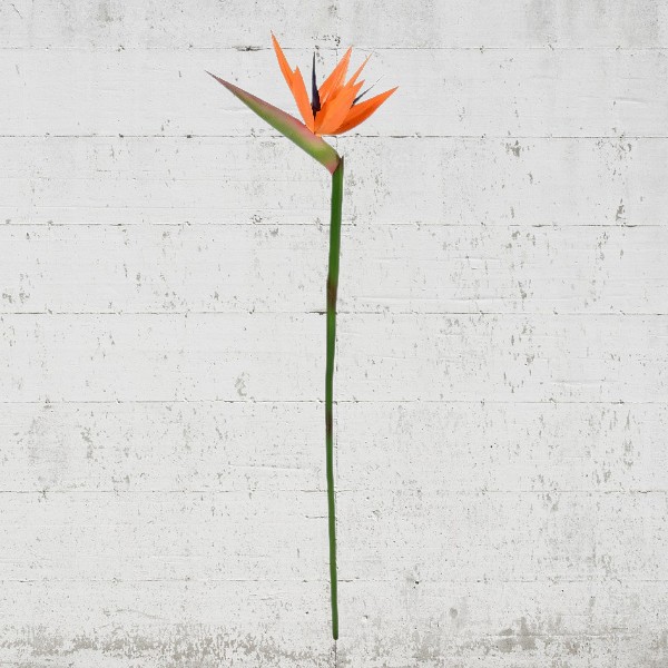 Floare Strelitzia artificiala 90cm