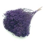 Flori uscate Broom Bloom premium Indigo set 100g