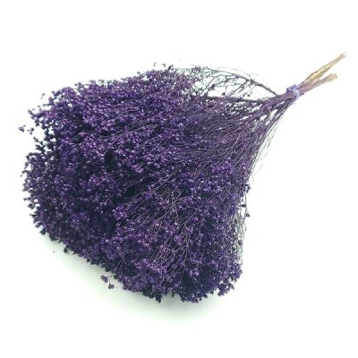 Flori uscate Broom Bloom premium Indigo set 100g