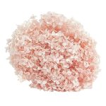 Hortensia criogenata cu flori mici Roz pudra D20cm