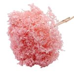 Hortensia criogenata cu flori mici Soft pink D20cm