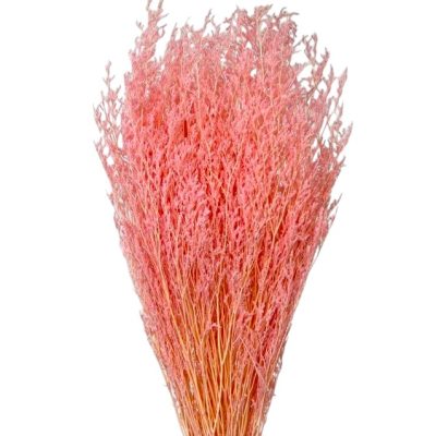 Limonium stabilizat Candy Pink set 100g