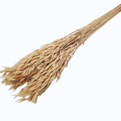 Ovăz sălbatic Crem set 100g