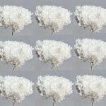 Pachet en-gross Hortensia stabilizata Alba x10_pic