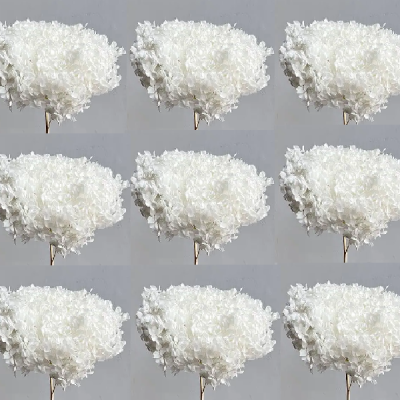 Pachet en-gross Hortensia stabilizata Alba x10_pic