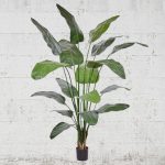 Strelitzia artificiala premium H200cm