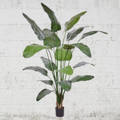 Strelitzia artificiala premium H200cm