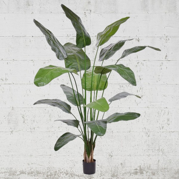 Strelitzia artificiala premium H200cm