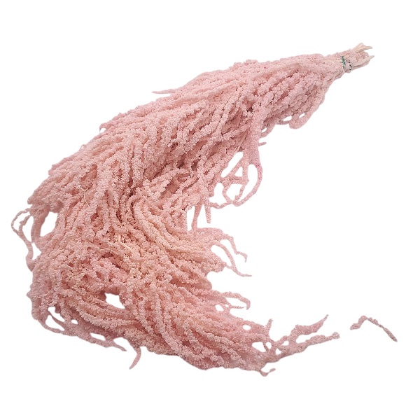 Amaranthus Stabilizat, Roz deschis 90cm Amaranthus Stabilizat, Roz deschis 90cm
