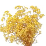 Floarea miresei, stabilizata Glob Galben 120g