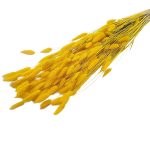 Lagurus Galben solar 70cm