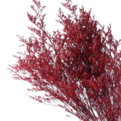 Limonium stabilizat Bordo set 100g