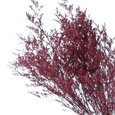 Limonium stabilizat Grena set 100g