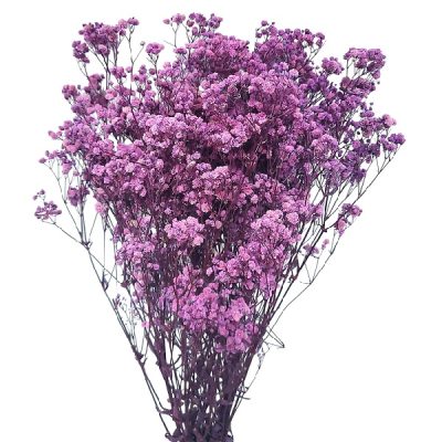 Floarea miresei, stabilizata Glob Lila 120g - imagine 3
