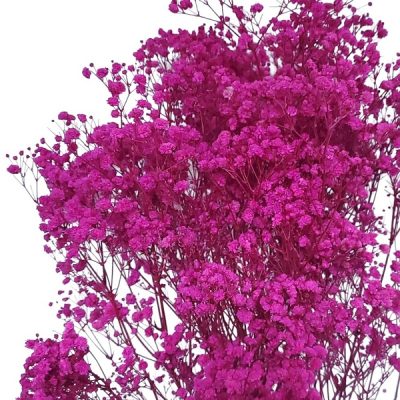 Floarea miresei, stabilizata Glob Fucsia 120g
