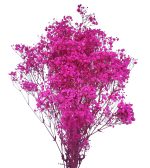 Floarea miresei, stabilizata Glob Fucsia 120g