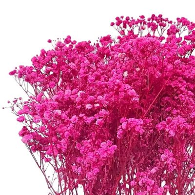 Floarea miresei, stabilizata Glob Cyclam 120g