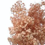 Floarea miresei, stabilizata Glob Roz pudra 120g