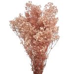 Floarea miresei, stabilizata Glob Roz pudra 120g