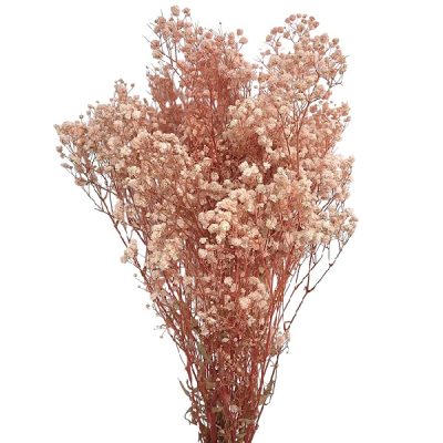 Floarea miresei, stabilizata Glob Roz pudra 120g