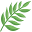 Plante si Flori