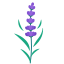 Plante si Flori