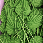 Pachet JUMBO frunze Palmier mediu Verde deschis x50