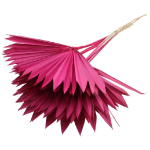 Frunze Palmier Soare x5 Magenta