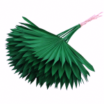 Frunze Palmier Soare x5 Verde Iarba