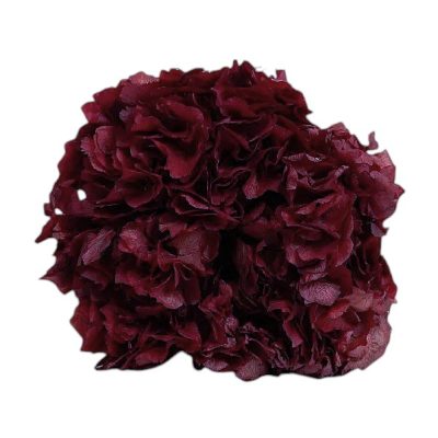 Hortensia criogenata, Macro Bordo