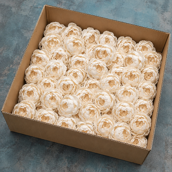 Pachet en-gross 50buc Capete Bujor 10cm alb natur Pachet en-gross 50buc Capete Bujor 10cm alb natur