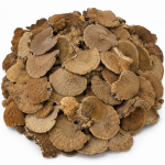 Pachet engros Ciuperci copac uscate natur 1kg
