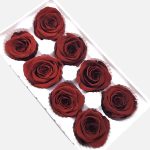 Set Trandafir stabilizat, 4-5cm x8 Bordo