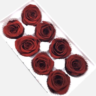 Set Trandafir stabilizat, 4-5cm x8 Bordo