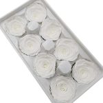 Set Trandafir stabilizat, 4-5cm x8 Alb