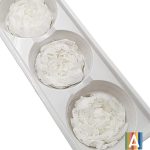 Set Bujor criogenat, 7cm x3 Alb