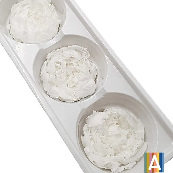Set Bujor criogenat, 7cm x3 Alb Set Bujor criogenat, 7cm x3 Alb