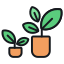 Ghivece si jardiniere