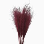 Iarba Miscanthus uscată XTR Roșu în aranjament floral pentru restaurant